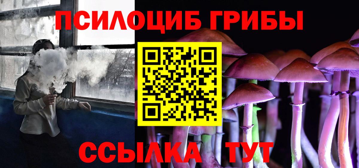 Псилоцибиновые грибы мицелий Заинск